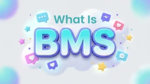 what is bms